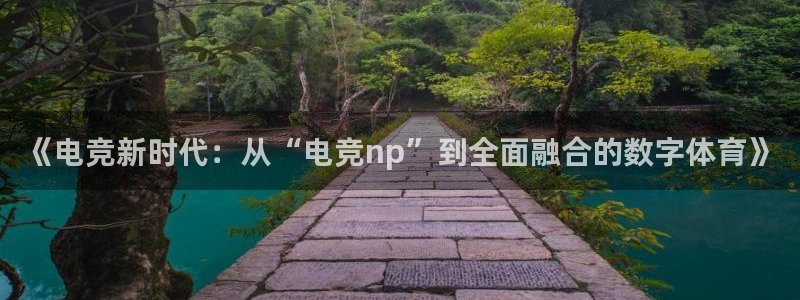 小艾电竞平台官方网
