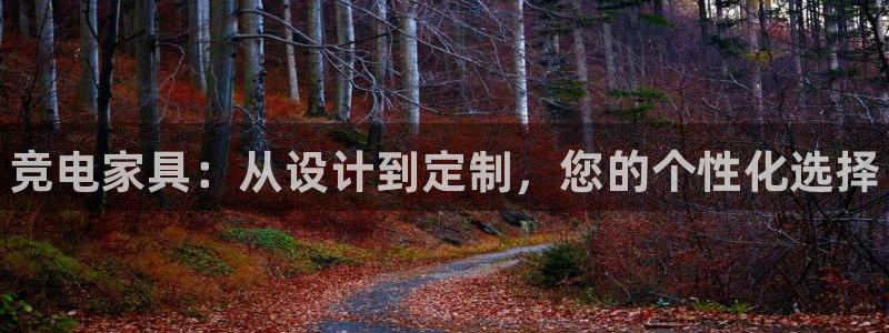 小艾电竞网页版登录