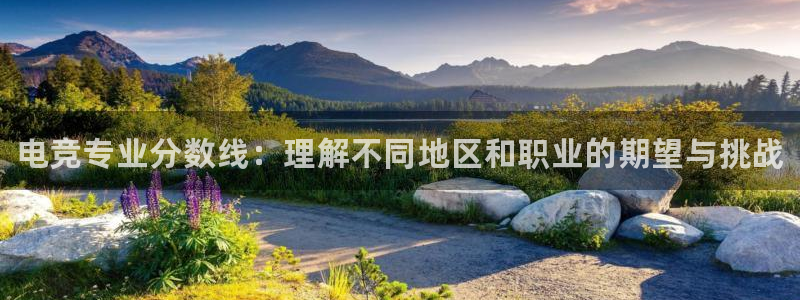 小艾电竞平台官方网