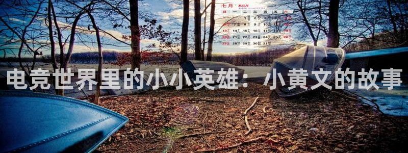 小艾电竞平台