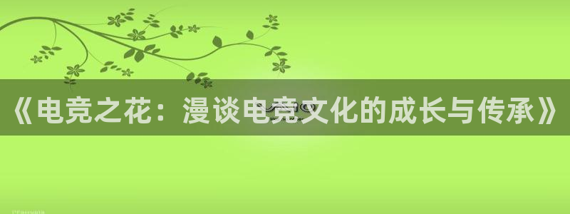 小艾电竞官网