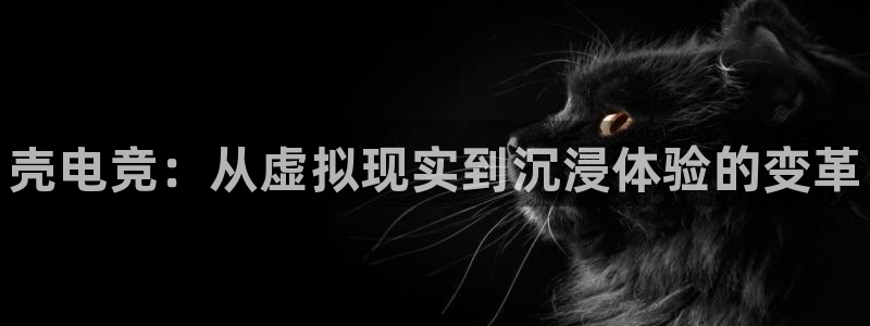 小艾电竞