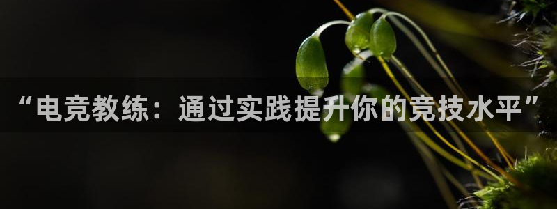 小艾电竞平台官方网
