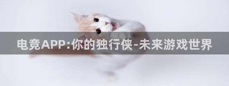 小艾电竞app下载官网