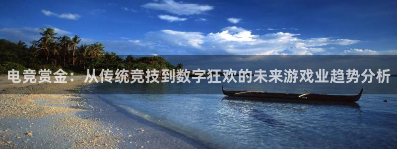 小艾电竞平台