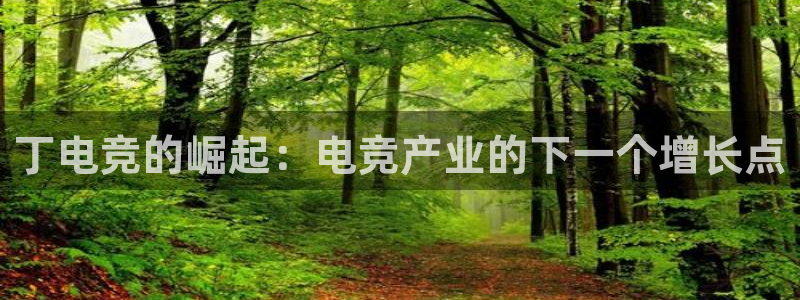 小艾电竞网页版登录
