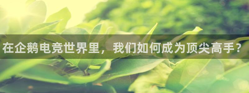 小艾电竞app下载官网