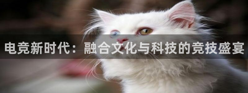 小艾电竞平台官方网