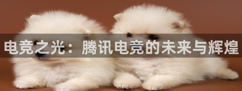 小艾电竞app