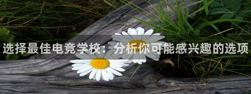 小艾电竞平台官方网