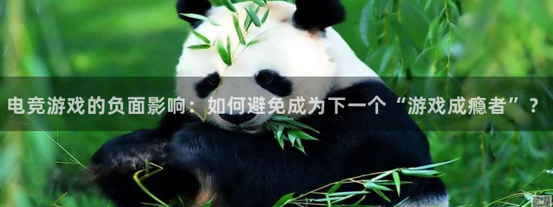 小艾电竞官网