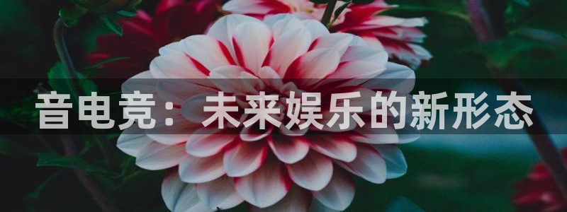 小艾电竞网页版登录