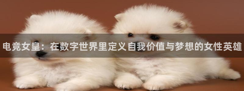 小艾电竞官网