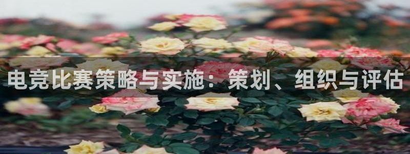 小艾电竞官网