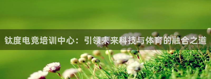 小艾电竞平台官方网