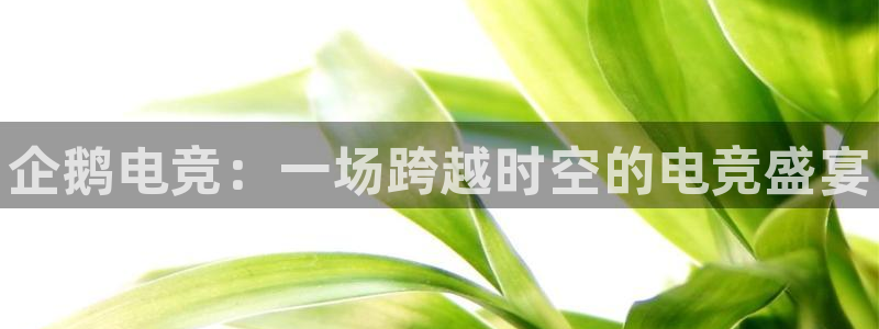 小艾电竞官网