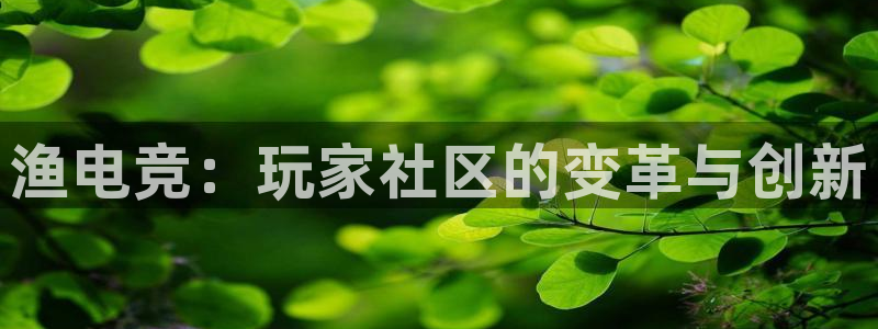 小艾电竞