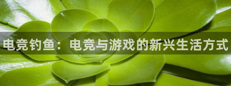 小艾电竞网页版登录