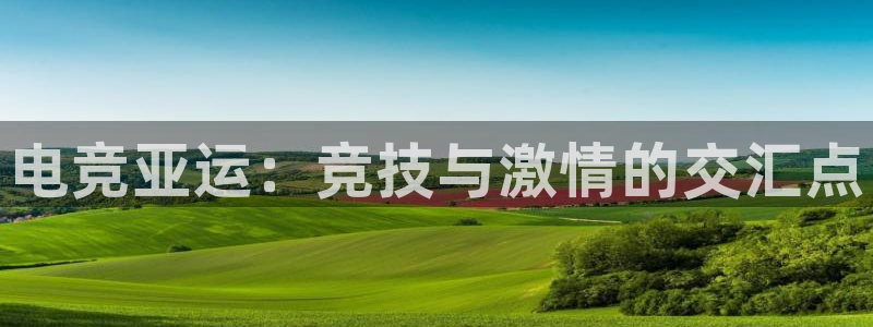 小艾电竞app