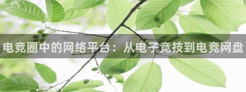 小艾电竞