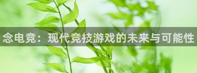 小艾电竞平台官方网