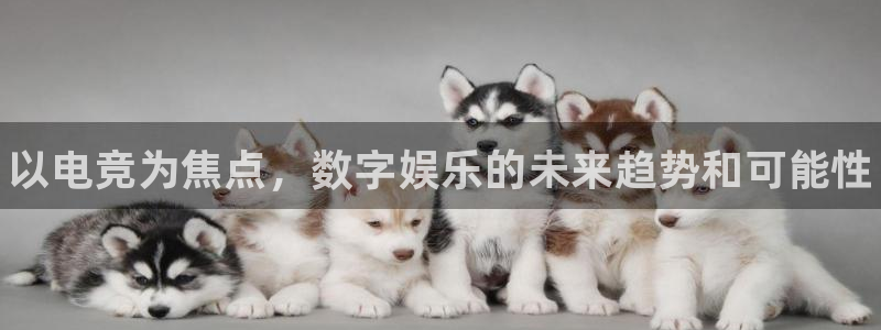 小艾电竞官网
