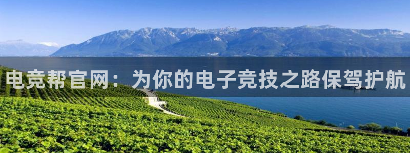 小艾电竞官网