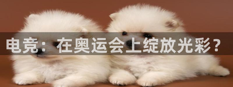 小艾电竞