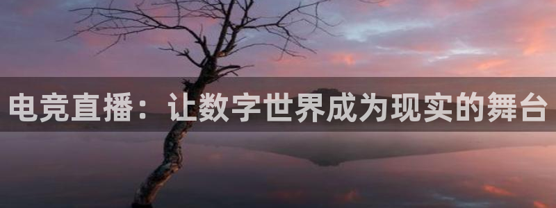 小艾电竞app
