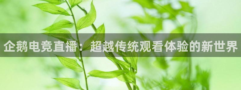 小艾电竞平台：企鹅电竞直播：超越传统观看体验的新世界