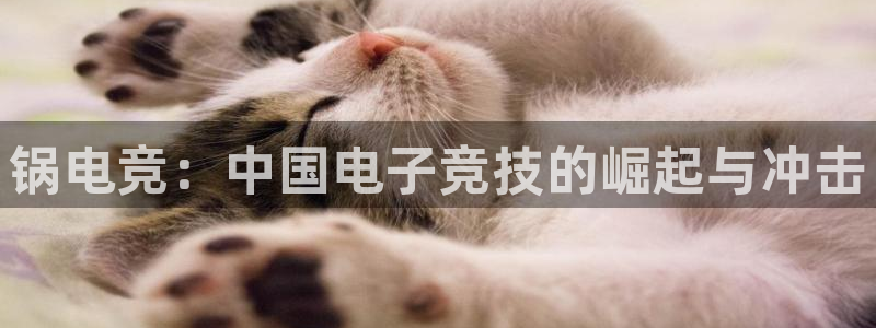 小艾电竞app下载官网：锅电竞：中国电子竞技的崛起与冲击