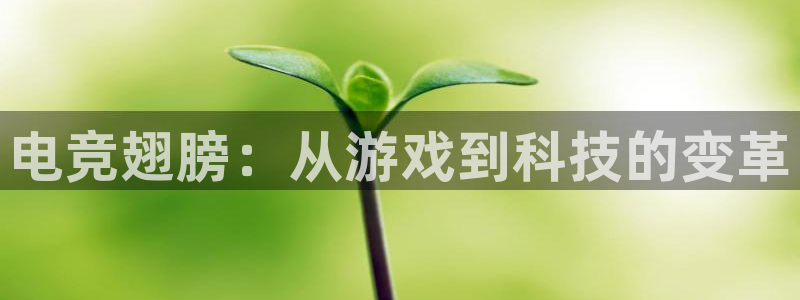 小艾电竞app下载官网：电竞翅膀：从游戏到科技的变革