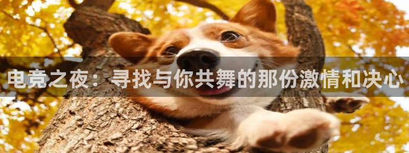小艾电竞平台：电竞之夜：寻找与你共舞的那份激情和决心