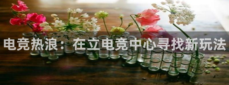 小艾电竞