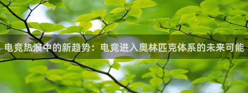 小艾电竞平台官方网