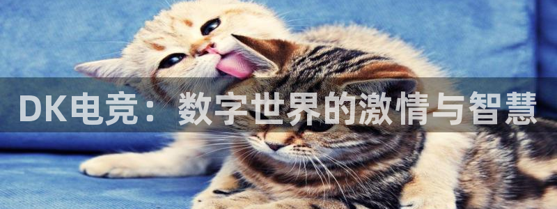 小艾电竞app