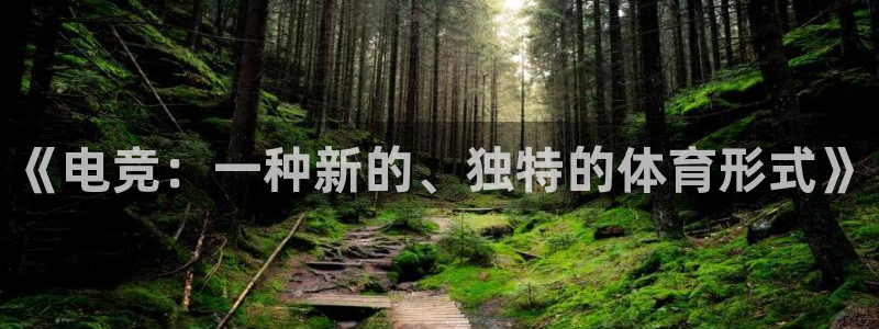 小艾电竞官网