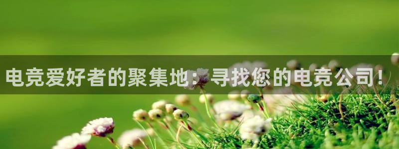 小艾电竞官网