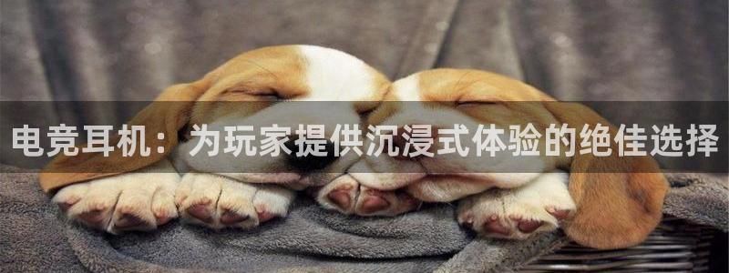 小艾电竞app