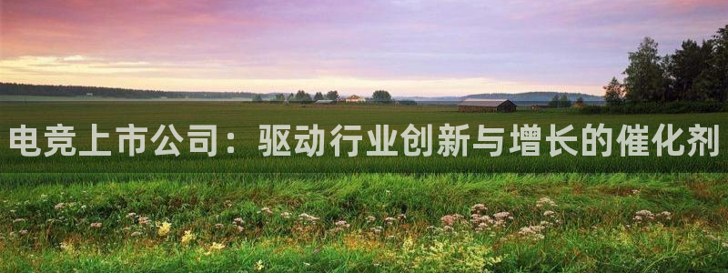 小艾电竞app