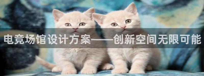 小艾电竞平台官方网