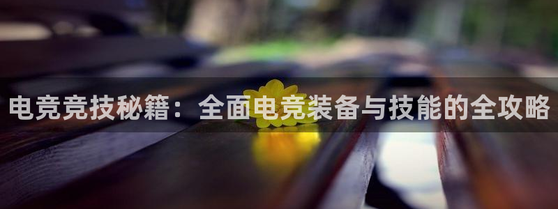 小艾电竞官网