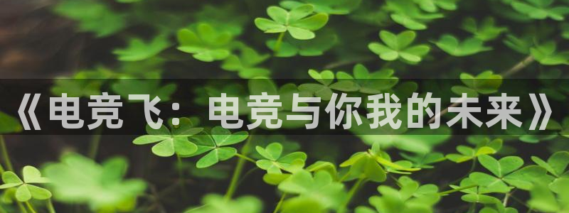 小艾电竞平台