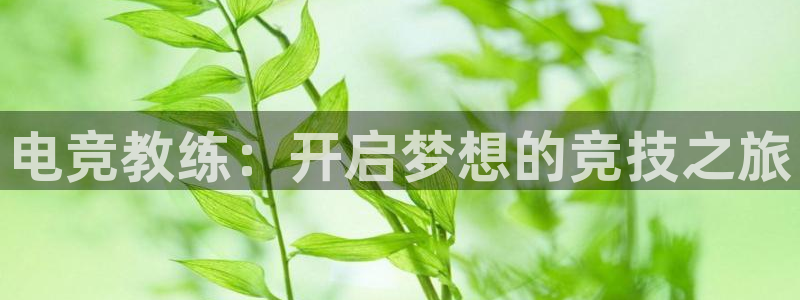 小艾电竞