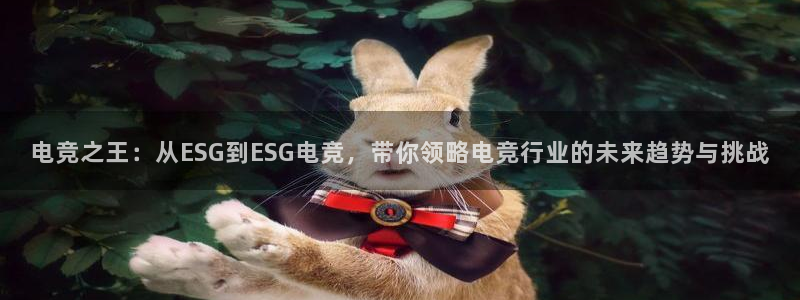 小艾电竞