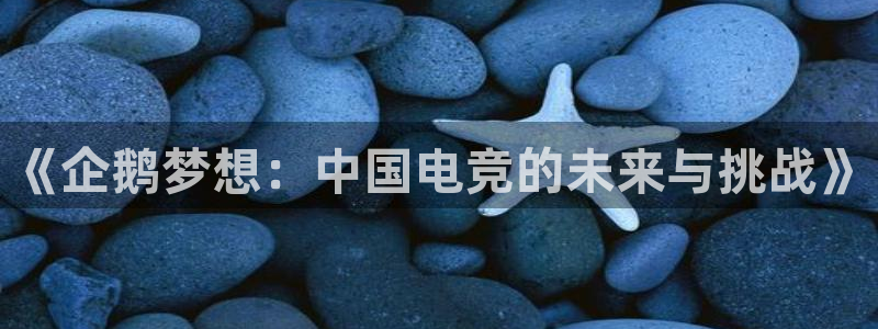 小艾电竞app