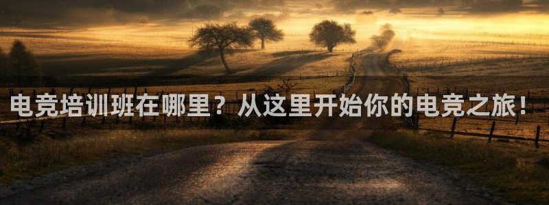 小艾电竞官网